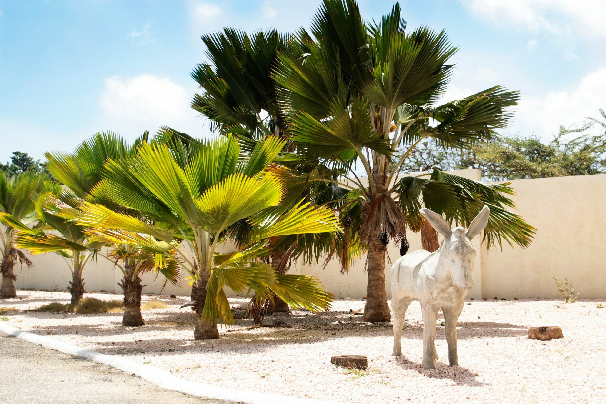 Abc Lodges Curacao Willemstad Eksteriør billede